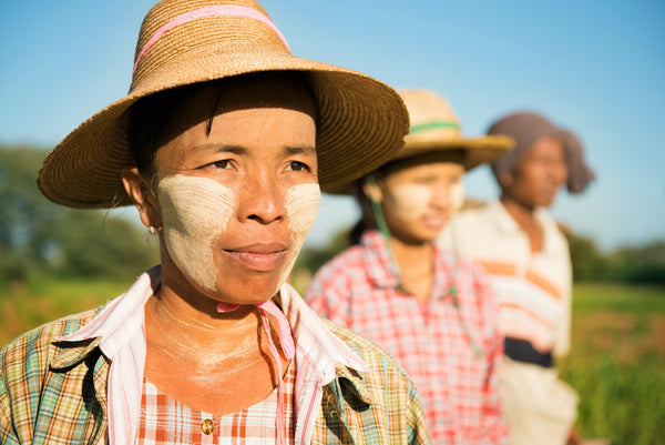 Thanaka: Myanmar's Ancient Natural Skincare Secret