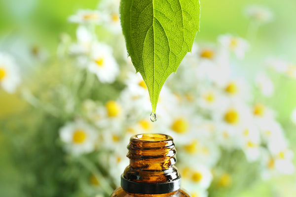 The Mind and Body Benefits of Aromatherapy